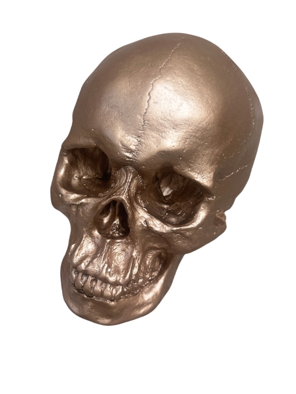 NEW Wall Charmers Human Skull in Gilded Bronze Gold finish